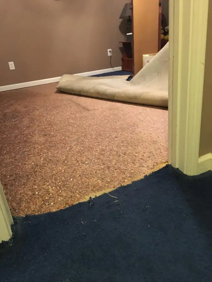 Carpet pad removal revealing water damage during Water Mitigation Services in Bloomingdale